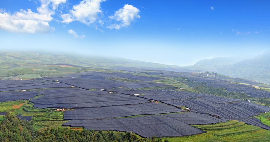 nt'l Panax Notoginseng Trading Center 